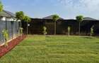 Casa Parter - Therme - Toate Utilitatile - La Cheie 0% Comision  - 3