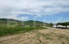 Hala, 230mp , zona Sud - 5