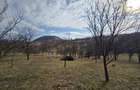 Teren intravilan, 3800 mp, ideal investitie - zona turistica , Moigrad - 4