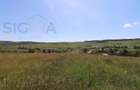 Teren intravilan de vanzare – 3.800 mp – Babutiu, jud. Cluj - 2