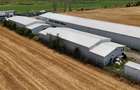 CIOLPANI, LOT 5.000 MP, HALE INDUSTRIALE! - 6