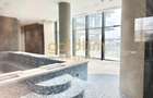 PRIMA CHIRIE/SPA/PISCINA/BOXA/GARAJ/FLOREASCA - 4