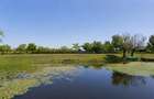 Teren cu deschidere la canal în Letea – 2.557 mp | Delta Dunării | - 4