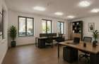 Spatiu 4 Camere pentru Cabinet Profesional, Birou, Cartierul Armenesc - 2