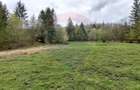 Poienita 2800mp, Covasna, zona hotel Clermont, inconjurat de padure - 9