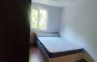 Apartament 2 camere zona Sud - 3