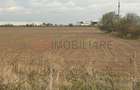 Teren de vanzare - 22800mp  - Parc Industrial km 23 - 5