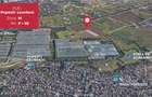 Teren intravilan 9.996 mp, Popesti-Leordeni–investitie imobiliara - 3