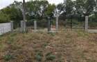 RECO Casa cu etaj in com. Tileagd la stadiul de semifinisat - 3