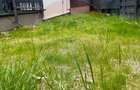 Apartament 2 camere decomandate, cu grădină, Florești - 9