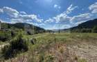 TEREN INTRAVILAN 2,26 HA | SUCEVITA | - 8