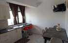 Apartament cu 2 camere - zona Bucium - Visan  - Complex Nairobi -  Pet Friendly - 6
