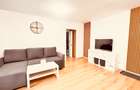 Apartament 2 camere Auchan Vitan, stradal, CENTRALA, mobilat si utilat modern - 4