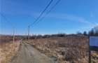 Loturi de la 430 la 480mp teren intravilan pentru contructii - Daia Nouă - 3