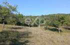 Teren extravilan de vânzare Tigveni | 4.944 mp | Panoramă superbă - 4