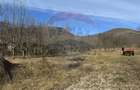 Teren intravilan 1.271 mp – Izvoarele, jud. Alba - 12