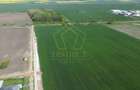 COM 0% Parcela cu deschiedere la DN69, servicii, hale | Sanandrei - 3