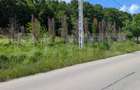 Hulubești, Butoiu de Jos Teren intravilan cu Panoramă Superbă către Pădure - 12