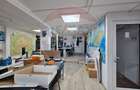 Hale Industriale 5065 mp de vanzare Str. Bradului - Bacau - 6
