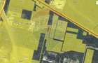 Teren 19,400mp Oradea / Calea Borsului/zona Comau/Industrial/DEx16/A3 - 2