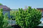 Casă de vânzare Domnești Teghes – proprietate individuală, zonă verde - 8