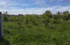 Teren intravilan 664 mp – Peris, Ilfov | Locatie linistita, ideal pentru casa - 9