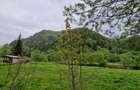 Teren intravilan - Rucar - Satic - 1775 mp - la strada principala - deschidere - 5