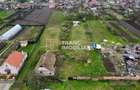 Teren intravilan 3.593 mp de vânzare în Parța - 7