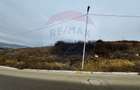 Teren Dezmir 2900 mp de vânzare, strada Trandafirilor, 0% Comision - 3