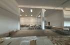 Complex industrial 30130  mp construit - Teren 42558 mp - 10