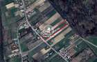 Teren langa padure - de vanzare in Poiana cu Cetate - 2