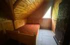 Cabana 5 camere, 75 mp| teren 900 mp| zona Iezer Ighiel - 5