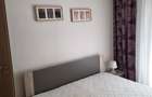 Apartament cu 2 camere de inchiriat in Cetate - 2