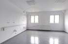 Inchiriere Spatii de Birouri/Productie - Str. Uzinei - Carei - Comision 0%  - 9