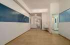 Spatiu comercial  424 mp  Oportunitati multiple - Baneasa Jandarmeriei - 2