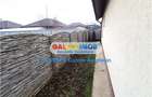 Exclusiv! Casa Premium 3 Camere si Curte Amenajata - Clinceni - 25