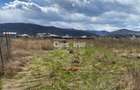 Teren de vanzare Dumbrava Rosie 20.000 Euro 900mp - 10