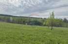 Teren 3,000mp Oslobeni / Strada Oslobeni punct GRADINA - 1