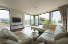 Panoramic View to Herastrau Lake, 5 rooms apartment - 14