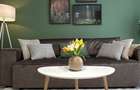 apartament frumos cu 2 camere de inchiriat - 1