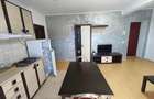 Dumbravita 2 camere 350 euro - 3