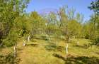Casă / Vilă de vânzare Picior de Munte, Dambovita - 4