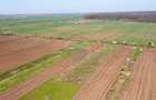 Vanzare teren intravilan 500 mp Sabareni /  Strada Orhideelor - 9