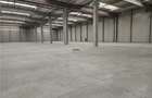 Spatii Industriale - 5000 mp - Logistica - Productie - Depozitare - 3