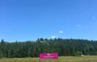 OPORTUNITATE ÎN INIMA NATURII-Teren intravilan, COMANDĂU, COVASNA - 2