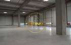 Spatiu industrial, clasa A, zona centura nord, Stefanesti - Afumati - 7