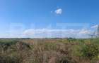 Teren extravilan de vanzare, 4.64 hectare, zona Matasaru - 2