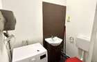 Spatiu Comercial Vasile Lascar - 11