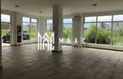 Spatiu comercial luminos | Doamna Stanca | 85 MPU - 1