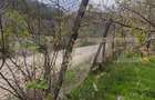 Teren Construibil 2900 mp cu 2 deschideri la asfalt – livadă matură, DN 72A - 17